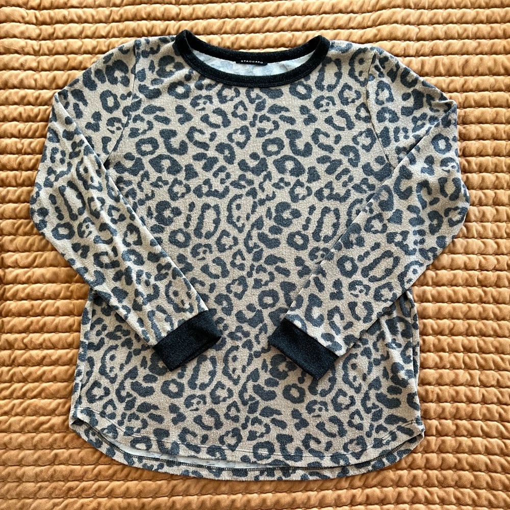 Leopard/Cheetah Print Long Sleeve Sweater